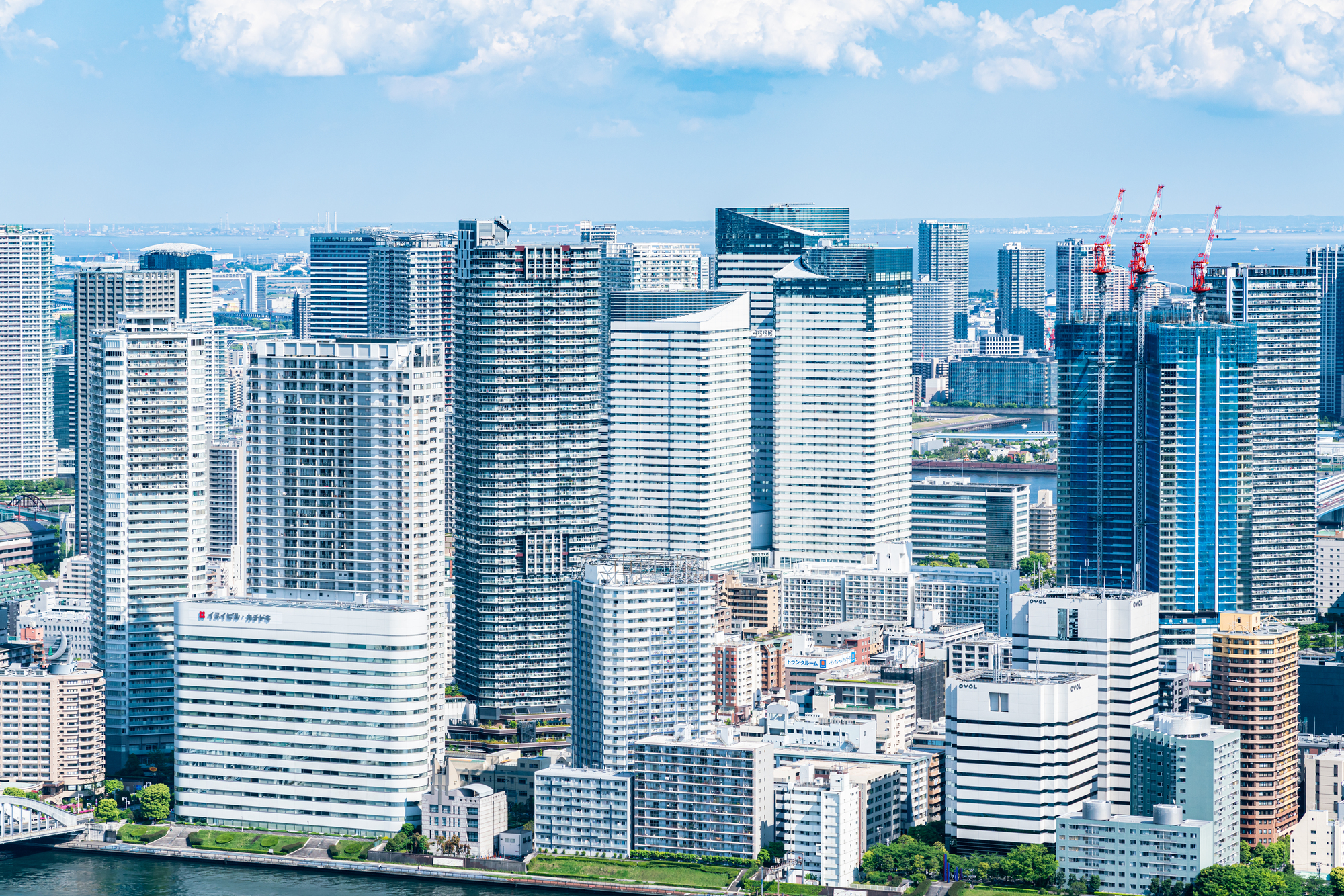 東京 | 管理